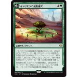 イトリモクの成長儀式/Growing Rites of Itlimoc《日本語》【XLN】