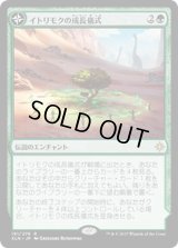 イトリモクの成長儀式/Growing Rites of Itlimoc《日本語》【XLN】
