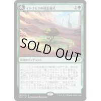 [PLD]イトリモクの成長儀式/Growing Rites of Itlimoc《日本語》【XLN】