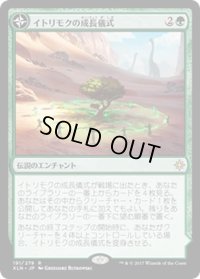 イトリモクの成長儀式/Growing Rites of Itlimoc《日本語》【XLN】