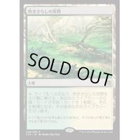 [PLD]吹きさらしの荒野/Windswept Heath《日本語》【KTK】