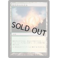 [EX+]陽花弁の木立ち/Sunpetal Grove《日本語》【M12】