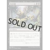 [PLD]四肢切断/Dismember《日本語》【MM2】