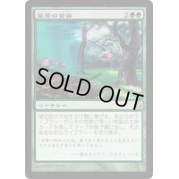 [POOR]風景の変容/Scapeshift《日本語》【MOR】
