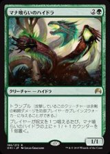 [EX+]マナ喰らいのハイドラ/Managorger Hydra《日本語》【ORI】