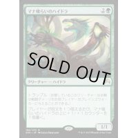 マナ喰らいのハイドラ/Managorger Hydra《日本語》【ORI】