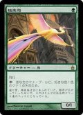 [PLD]極楽鳥/Birds of Paradise《日本語》【RAV】