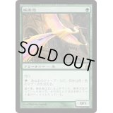 [HPLD]極楽鳥/Birds of Paradise《日本語》【RAV】