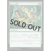[EX+]内にいる獣/Beast Within《日本語》【Commander 2016】