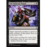 [EX+]自傷疵/Self-Inflicted Wound《英語》【DTK】