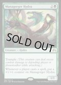[EX+]マナ喰らいのハイドラ/Managorger Hydra《英語》【ORI】