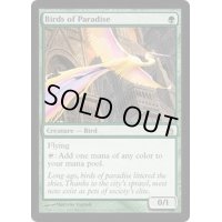 [HPLD]極楽鳥/Birds of Paradise《英語》【RAV】