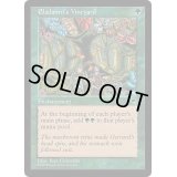 [EX]エラダムリーのぶどう園/Eladamri's Vineyard《日本語》【TMP】