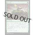 地うねり/Groundswell《日本語》【Duel Decks: Zendikar vs. Eldrazi】