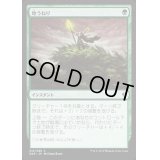[EX+]地うねり/Groundswell《日本語》【Duel Decks: Zendikar vs. Eldrazi】