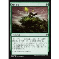 [EX+]地うねり/Groundswell《日本語》【Duel Decks: Zendikar vs. Eldrazi】