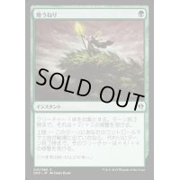 [EX+]地うねり/Groundswell《日本語》【Duel Decks: Zendikar vs. Eldrazi】