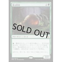 漁る軟泥/Scavenging Ooze《日本語》【MM3】