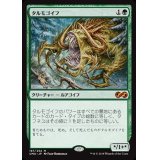[EX+]タルモゴイフ/Tarmogoyf《日本語》【UMA】
