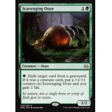 [EX+]漁る軟泥/Scavenging Ooze《英語》【MM3】