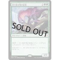 [EX+]切り裂き顎の猛竜/Ripjaw Raptor《日本語》【XLN】