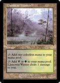 [EX]ラノワールの荒原/Llanowar Wastes《英語》【APC】