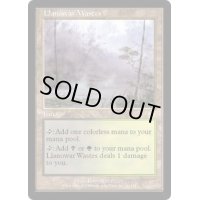 [EX]ラノワールの荒原/Llanowar Wastes《英語》【APC】