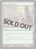 [EX+]平穏な茂み/Tranquil Thicket《英語》【Duel Decks: Izzet vs. Golgari】