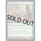 [EX+]平穏な茂み/Tranquil Thicket《英語》【Duel Decks: Izzet vs. Golgari】