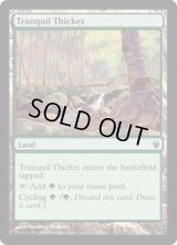 [EX+]平穏な茂み/Tranquil Thicket《英語》【Duel Decks: Izzet vs. Golgari】