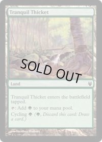 [EX+]平穏な茂み/Tranquil Thicket《英語》【Duel Decks: Izzet vs. Golgari】