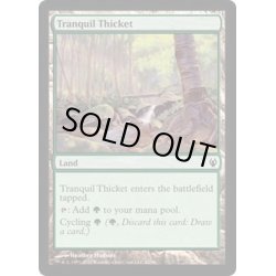 画像1: 平穏な茂み/Tranquil Thicket《英語》【Duel Decks: Izzet vs. Golgari】