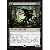 [EX+]屍滑り/Necroskitter《日本語》【MM2】