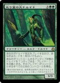 [EX+]光り葉の大ドルイド/Gilt-Leaf Archdruid《日本語》【MOR】