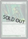 [EX+]光り葉の大ドルイド/Gilt-Leaf Archdruid《日本語》【MOR】