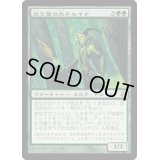 [EX+]光り葉の大ドルイド/Gilt-Leaf Archdruid《日本語》【MOR】