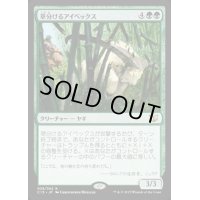 [HPLD]草分けるアイベックス/Pathbreaker Ibex《日本語》【Commander 2015】