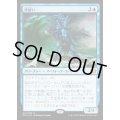 [EX]波使い/Master of Waves《日本語》【Duel Decks: Merfolk vs. Goblins】