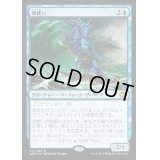 [EX]波使い/Master of Waves《日本語》【Duel Decks: Merfolk vs. Goblins】