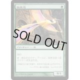 [HPLD]極楽鳥/Birds of Paradise《日本語》【M12】