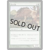 斑の猪/Brindle Boar《日本語》【M14】