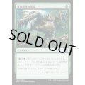 [EX]変異原性の成長/Mutagenic Growth《日本語》【MM2】