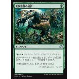 [EX]変異原性の成長/Mutagenic Growth《日本語》【MM2】