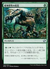 [EX]変異原性の成長/Mutagenic Growth《日本語》【MM2】