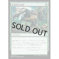 [EX]変異原性の成長/Mutagenic Growth《日本語》【MM2】