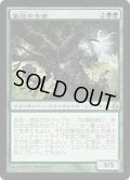 [EX+]葉冠の古老/Leaf-Crowned Elder《日本語》【MOR】
