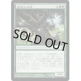 [EX+]葉冠の古老/Leaf-Crowned Elder《日本語》【MOR】