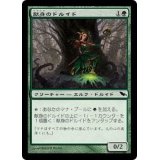 [EX]献身のドルイド/Devoted Druid《日本語》【SHM】
