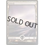 [EX](FOIL)冠雪の沼/Snow-Covered Swamp《日本語》【MH1】