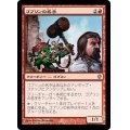[EX+]ゴブリンの名手/Goblin Sharpshooter《日本語》【Commander 2013】